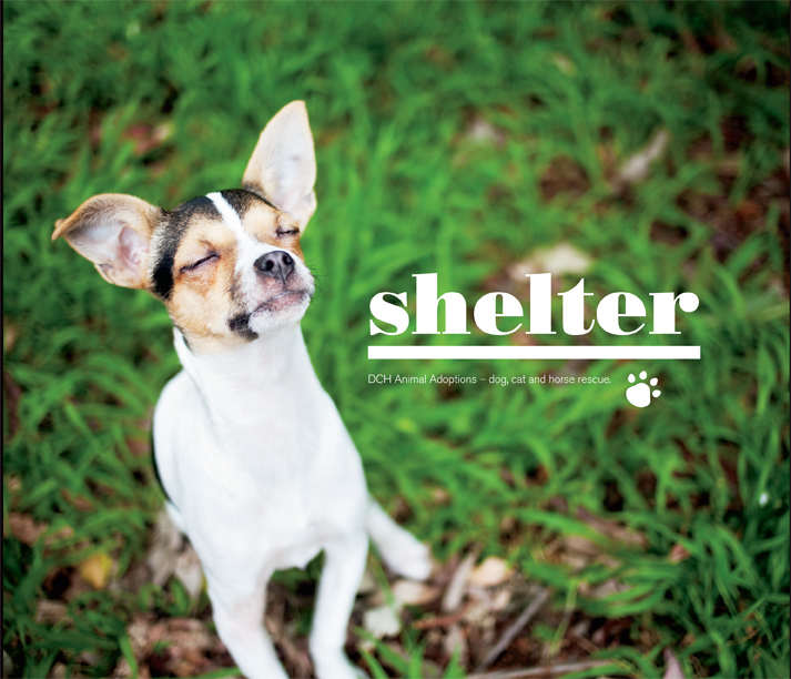 \"Shelter\" - Coffee Table Book